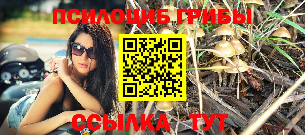 Галлюциногенные грибы мицелий Новый Уренгой