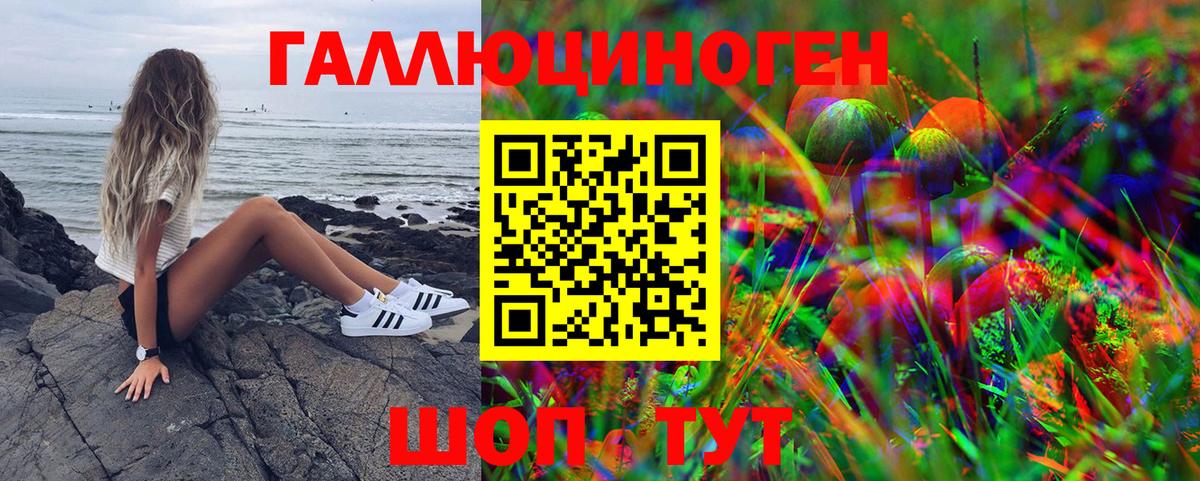 Галлюциногенные грибы прущие грибы  Галлюциногенные грибы GOLDEN TEACHER  Новый Уренгой  Вход с VPN 